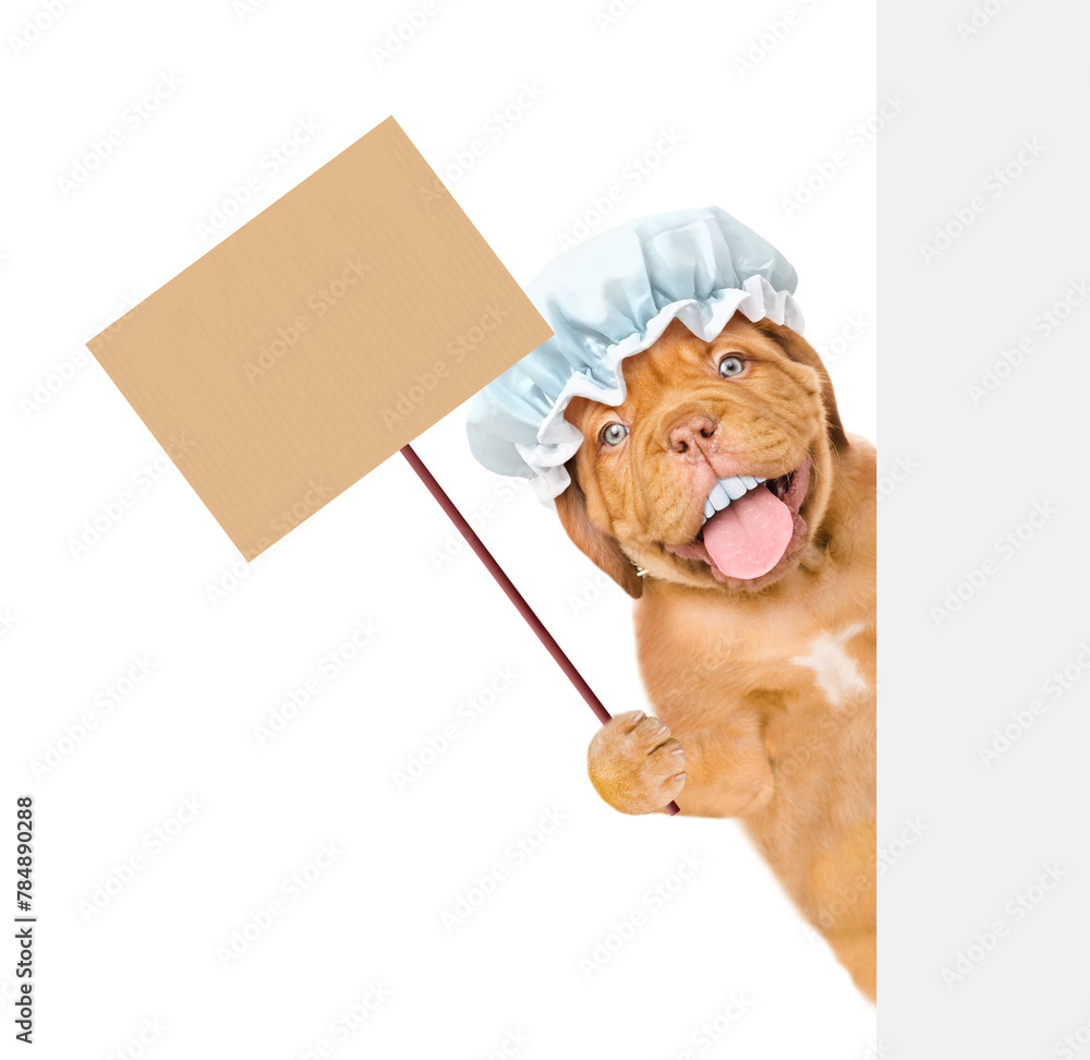 Poster happy mastiff puppy with funny big teeth wearing shower cap looking from behind empty white banner a