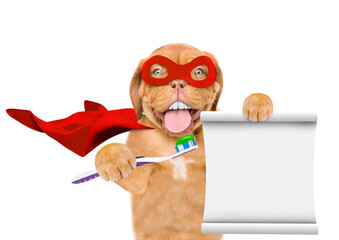 Happy Mastiff puppy with big funny teeth wearing superhero costume holds toothbrush in it paw and...