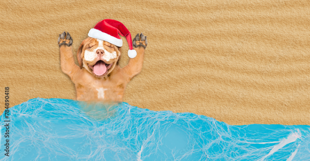 Poster happy mastiff puppy wearing red santa hat with suntan lotion or sun block on it face lying at sunny 