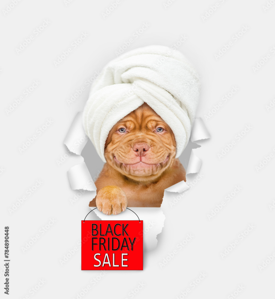 Poster smiling mastiff puppy with towel on it head looking through a hole in white paper and showing signbo