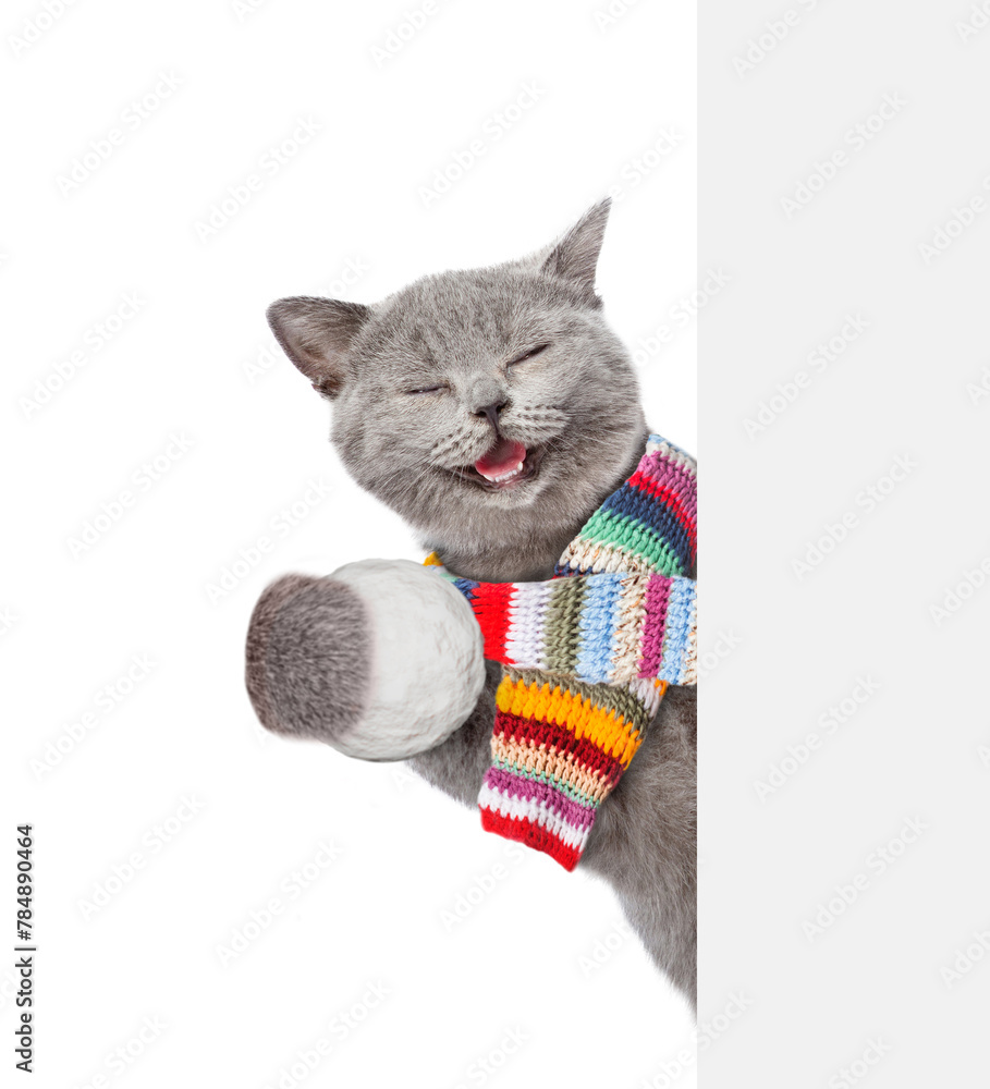 Poster happy cat wearing warm winter knitted woolen scarf holds snowball and looks from behind empty white 
