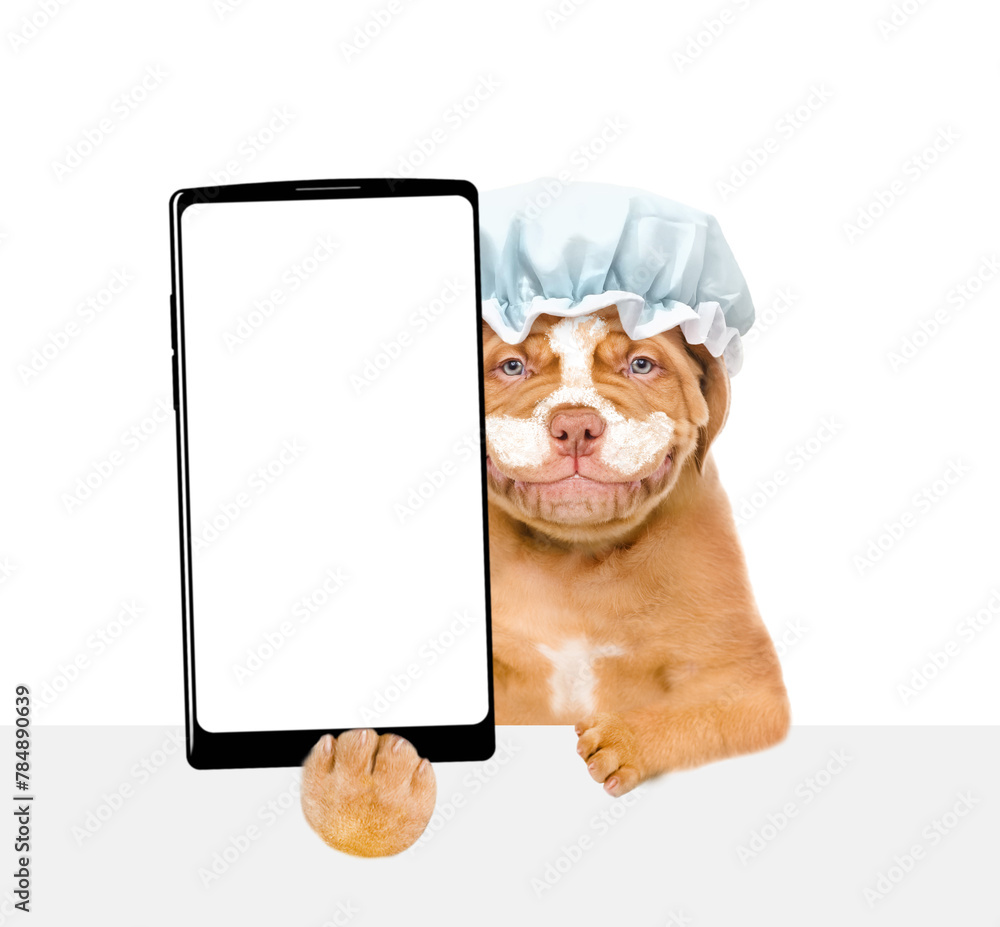 Aufkleber mastiff puppy wearing shower cap with cream on it face holds big smartphone with white blank screen 