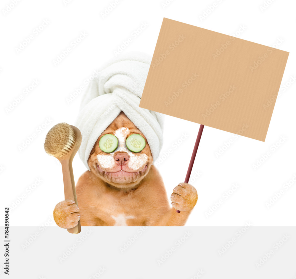 Poster Mastiff puppy with towel on it head with pieces of cucumber on it eyes and with cream on it face holding blank banner mock up on wood stick above empty white banner. isolated on white background