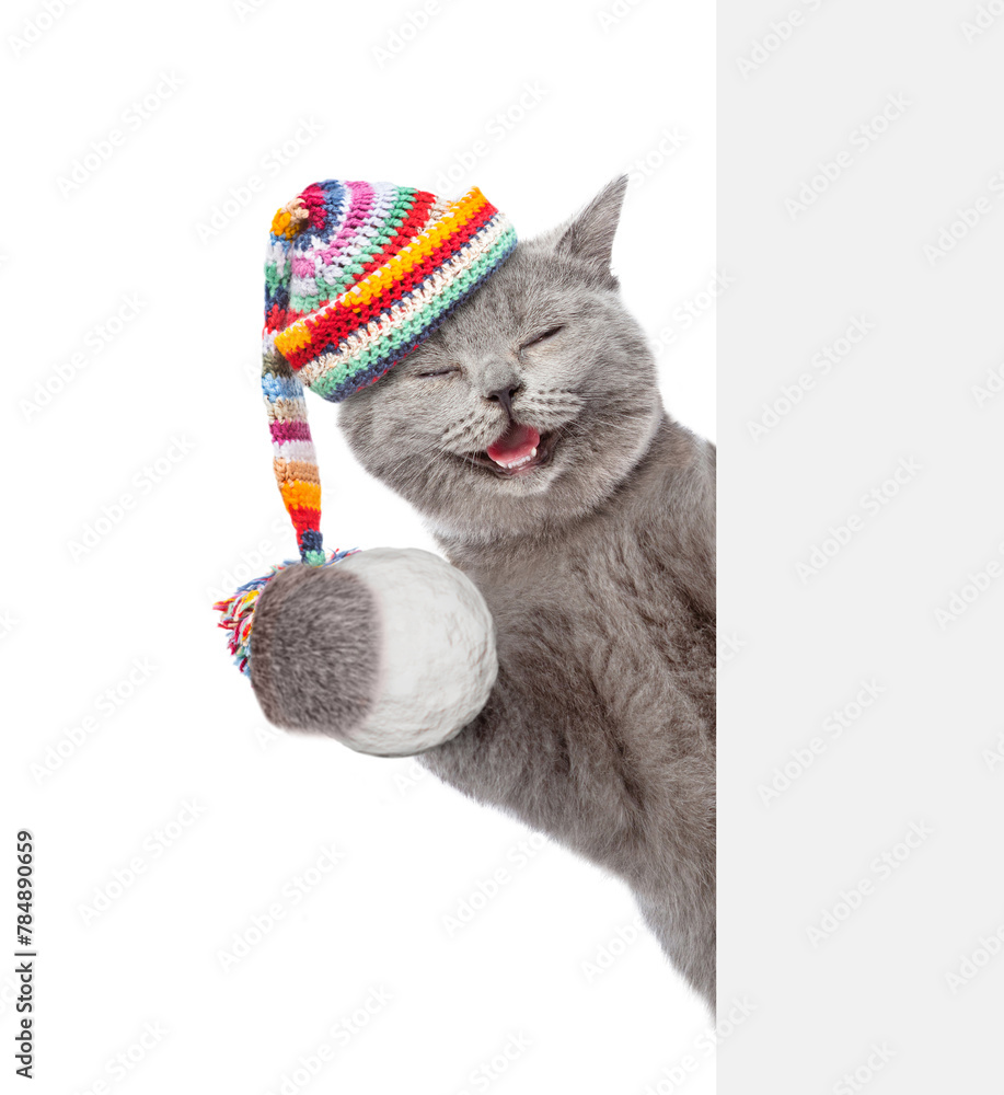 Poster happy cat wearing warm winter knitted woolen hat with pompon holds snowball and looks from behind em