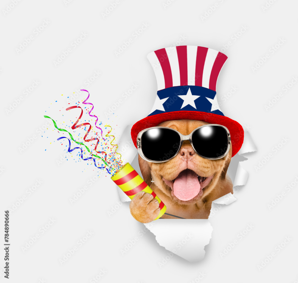 Poster happy mastiff puppy wearing like uncle sam explodes a firecracker through the hole in white paper. 4