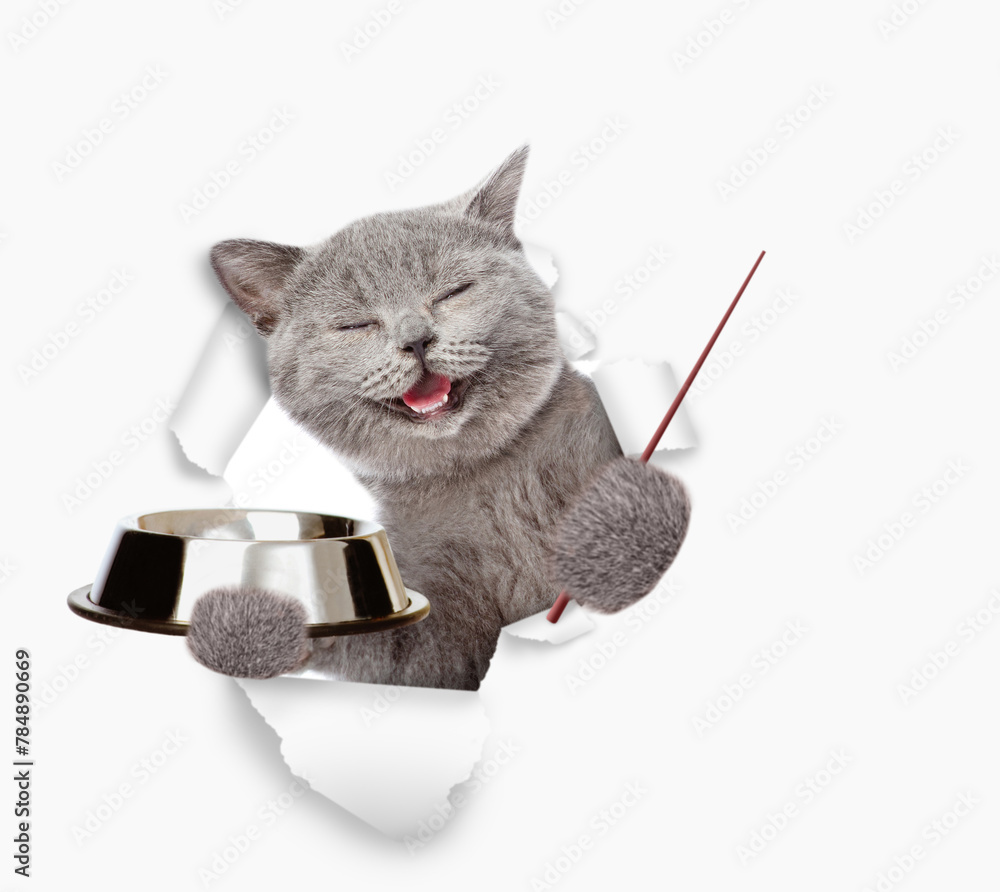 Poster Happy cat holding empty bowl, looking through the hole in white paper and pointing away on empty space