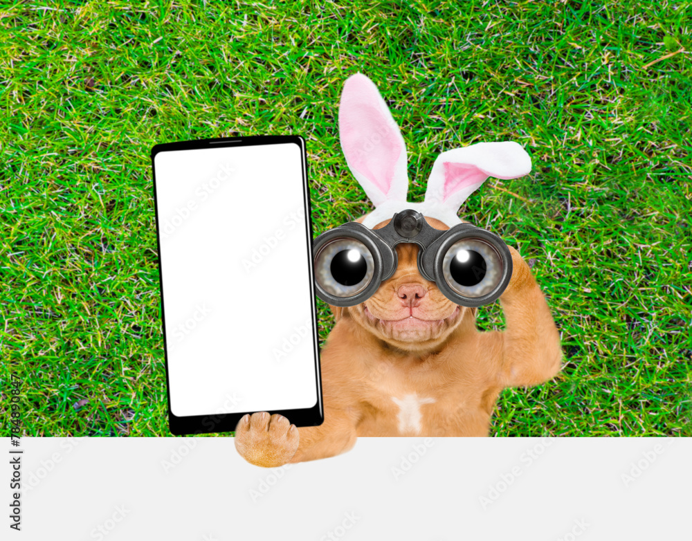 Sticker Smiling puppy wearing easter rabbits ears looks through binoculars and holds big smartphone with white blank screen in it paw above empty white banner. Empty space for text