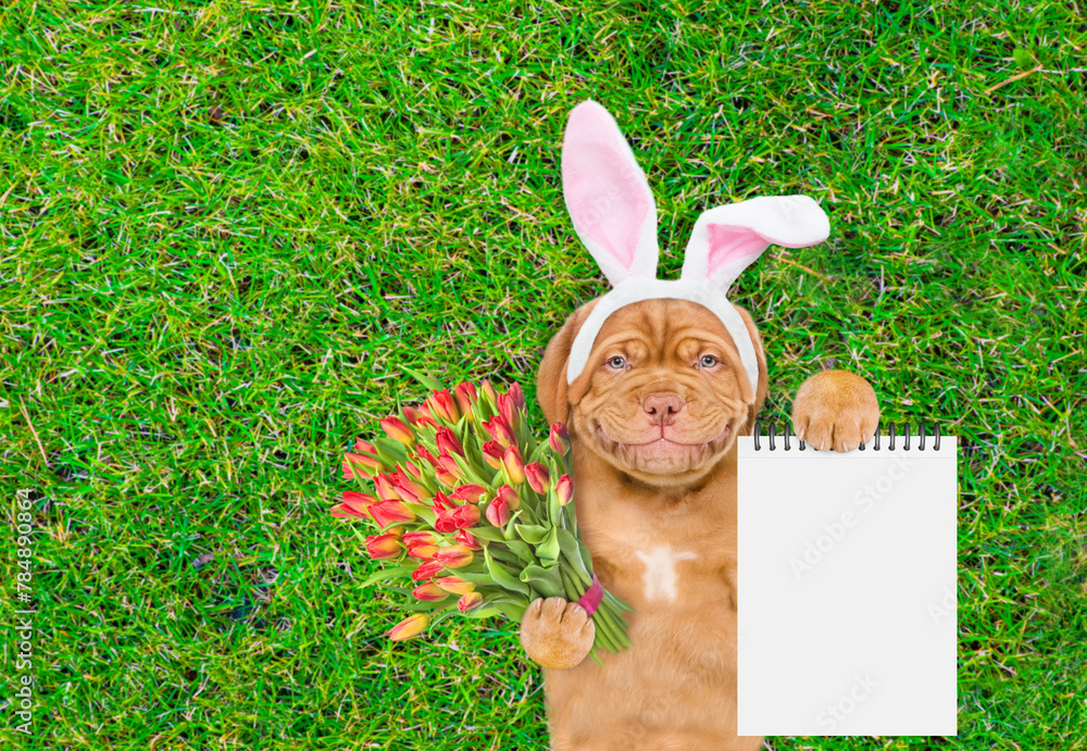 Poster smiling mastiff puppy wearing easter rabbits ears holds bouquet of tulips and shows empty notepad an
