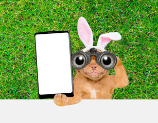 Smiling puppy wearing easter rabbits ears looks through binoculars and holds big smartphone with white blank screen in it paw above empty white banner. Empty space for text