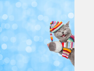 Smiling kitten wearing warm winter knitted woolen hat with pompon and scarf holds snowball behind empty white banner. Blurred blue background