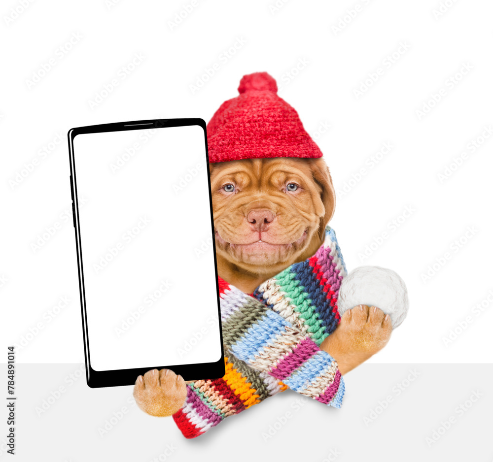 Aufkleber Smiling puppy wearing a warm hat with pompon and knitted woolen scarf holds snowball and holds smartphone with white blank screen in it paw above empty white banner. isolated on white background