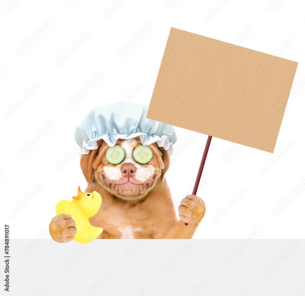 Aufkleber Mastiff puppy wearing shower cap with pieces of cucumber on it eyes and with cream on it face holding blank banner mock up on wood stick above empty white banner. isolated on white background