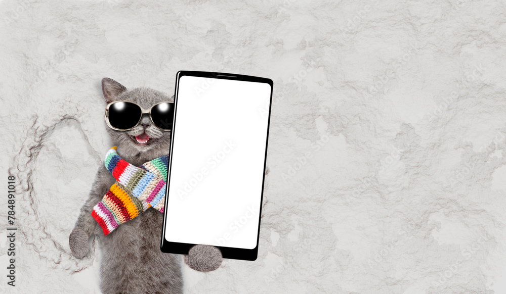 Poster funny cat wearing sunglasses and warm knitted scarf making snow angel while lying on snow and holdin