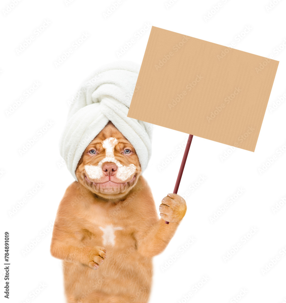 Poster Smiling Mastiff puppy wearing shower cap with cream on it face shows empty placard. isolated on white background