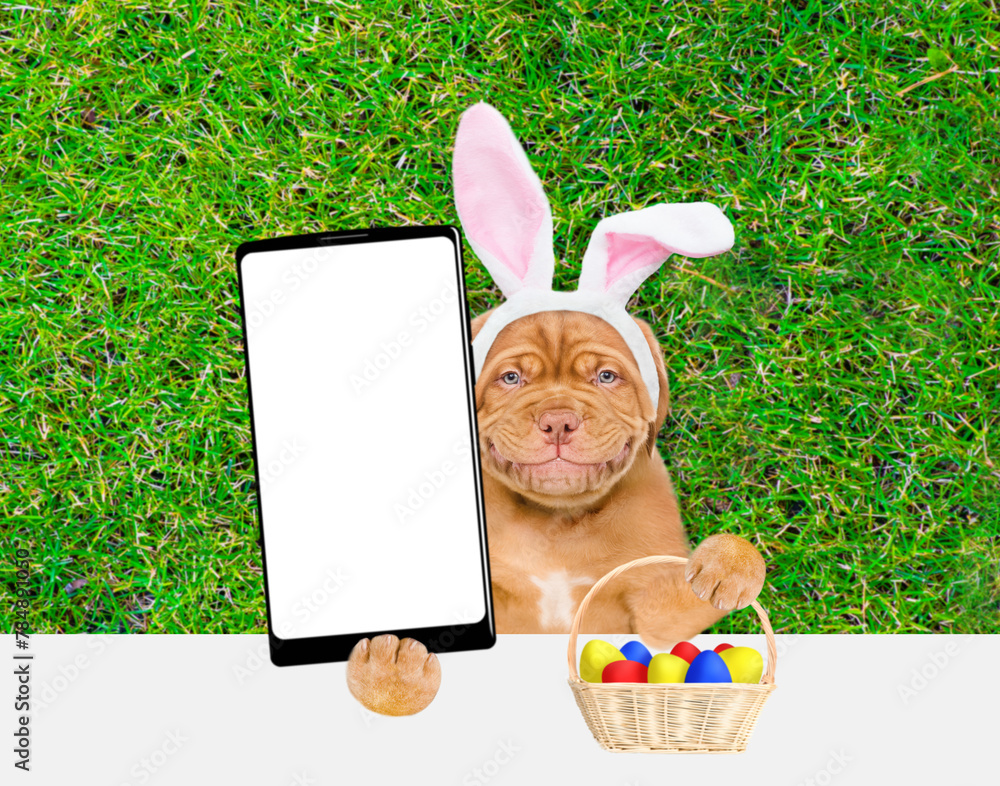 Aufkleber Smiling Mastiff puppy wearing easter rabbits ears holds basket of painted Easter eggs and holds big smartphone with white blank screen in it paw above empty white banner.  Empty space for text