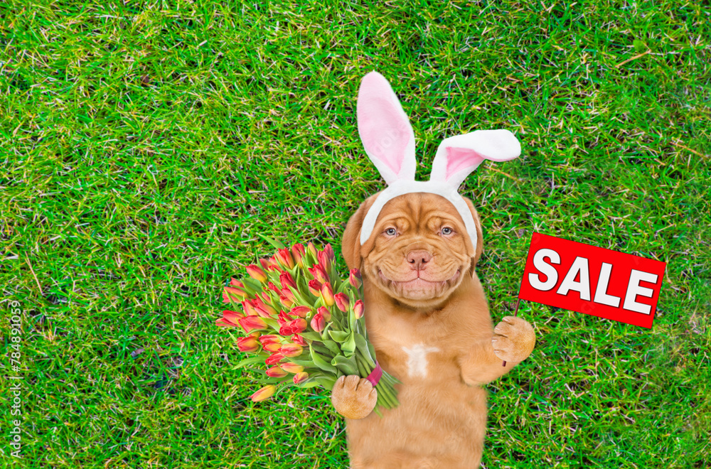 Aufkleber smiling mastiff puppy wearing easter rabbits ears holds bouquet of tulips and shows signboard with l
