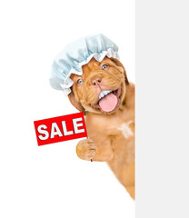 Funny Mastiff puppy with big fake teeth, with shower cap on it head looks from behind the shower curtain in the bathroom at home and shows signboard with labeled "sale". Isolated on white background