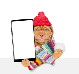 Smiling puppy wearing a warm hat with pompon and knitted woolen scarf holds snowball and holds smartphone with white blank screen in it paw above empty white banner. isolated on white background - 784891014