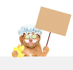 Mastiff puppy wearing shower cap with pieces of cucumber on it eyes and with cream on it face holding blank banner mock up on wood stick above empty white banner. isolated on white background - 784891017