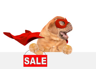 Funny Mastiff puppy wearing superhero costume looking away above empty white banner and  showing signboard with labeled "sale". Isolated on white background
