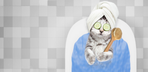 Cute kitten wearing shower cap, with pieces of cucumber on it eyes and with cream on it face takes the bath at home with shower brush. Top down view. Empty space for text