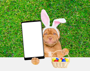 Smiling Mastiff puppy wearing easter rabbits ears holds basket of painted Easter eggs and holds big smartphone with white blank screen in it paw above empty white banner.  Empty space for text