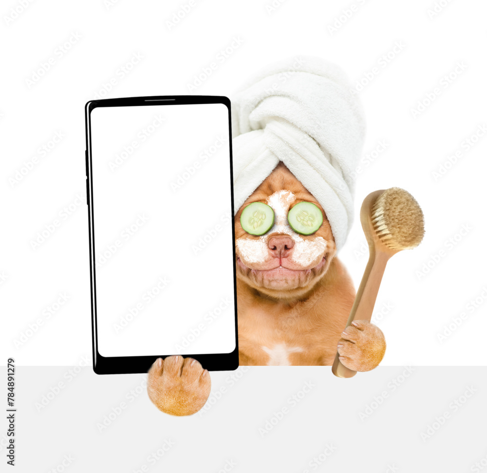 Poster Mastiff puppy with towel on it head, with pieces of cucumber on it eyes and with cream on it face holds big smartphone with white blank screen in it paw above empty white banner. isolated on white