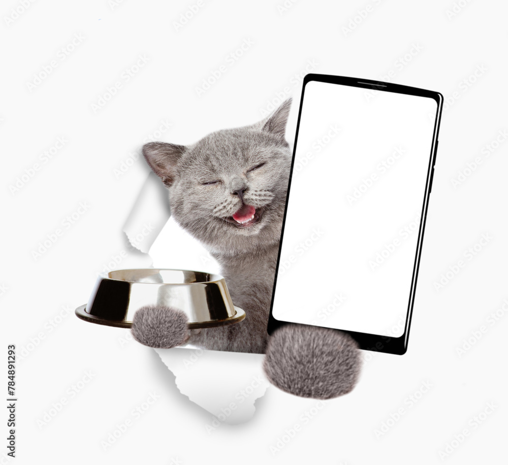 Poster happy cat looks through a hole in white paper, holds empty bowl and shows smartphone with white blan