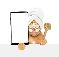 Mastiff puppy with towel on it head, with pieces of cucumber on it eyes and with cream on it face holds big smartphone with white blank screen in it paw above empty white banner. isolated on white - 784891279
