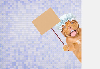 Happy mastiff puppy with big funny teeth, with shower cap on it head peeking out from behind the shower curtain in the bathroom at home and showinf empty placard. Empty space for text