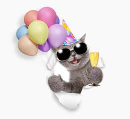 Happy cat wearing sunglasses and party cap holding balloons and glass of champagne, looking through the hole in white paper - 784891421