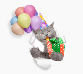 Happy cat wearing party cap blows in party horn and holds balloons with gift box and looks through the hole in white paper - 784891430