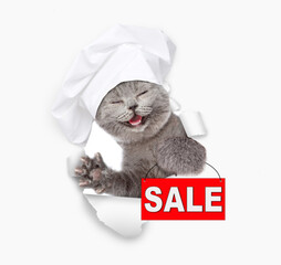 Happy kitten wearing chef's hat looking through a hole in white paper and holding signboard with labeled "sale"