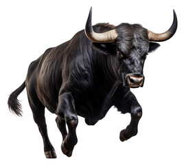 PNG Bull livestock wildlife buffalo