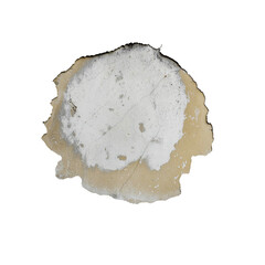 Close-up of Wall Damage with Rust Stains, Peeling Paint, and Mold Growth