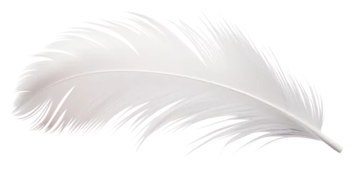 Fototapeten PNG White bird feather © Rawpixel.com