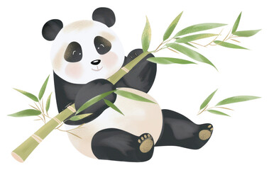PNG Panda eat bamboo bear representation creativity