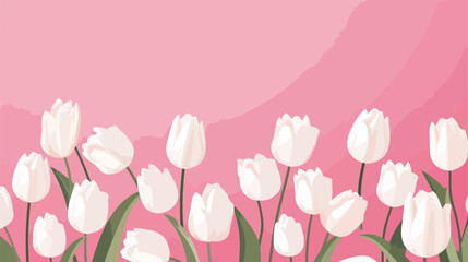 White tulips on pink background top view. copy spas