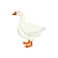 vector drawing goose bird isolated at white background, hand drawn illustration