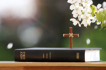 Holy Bible and cross of Jesus Christ, cherry blossoms blowing in spring wind and bright sunlight...