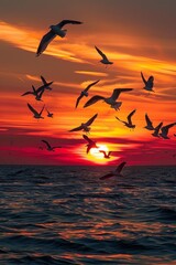 A flock of seagulls wheeling and diving over the ocean, silhouetted against a dramatic sunset