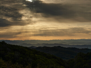 夜明けを迎え色づく