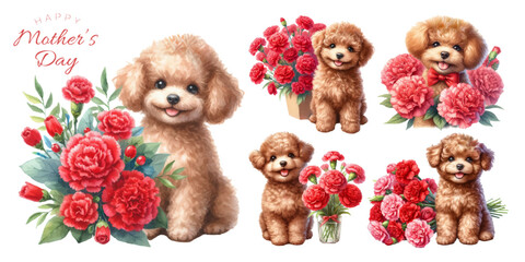 Toy poodle puppy and red carnation watercolor illustration material set