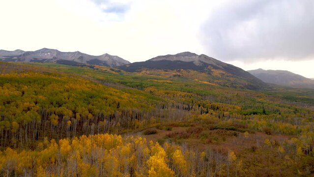 Aerial Mountain Road Yellow Aspen Forest Mountain. Epic Landscape Drone Colorado Mountain Town