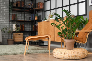 Interior of living room with armchair and plants