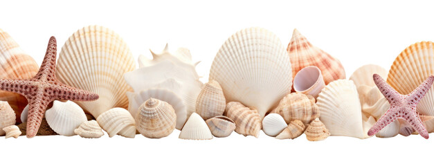 Fototapeta premium PNG Seashells white background invertebrate holiday