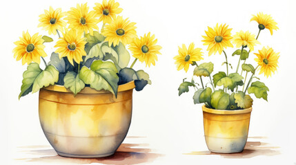Sunflower Stock Illustrations | in the pot