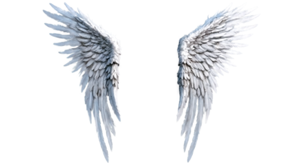 Wings Angel Feather Fallen God 