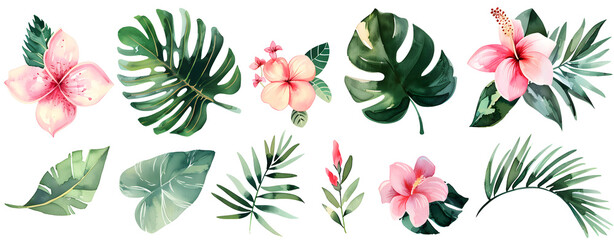 Hand drawn watercolor tropical plants exotic palm leaves jungle tree brazil tropic botany elements.