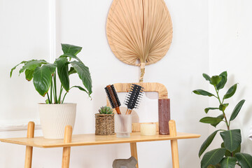 Holder with round hair brush and plants on shelf in bathroom